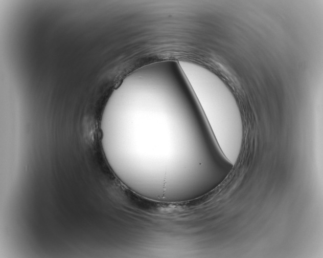 X0000093610125200710151023