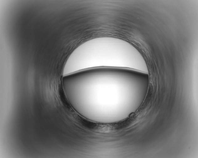 X0000093610127200710151023