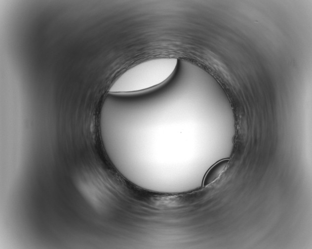 X0000093610132200710151023