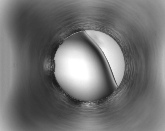 X0000093610137200710151023