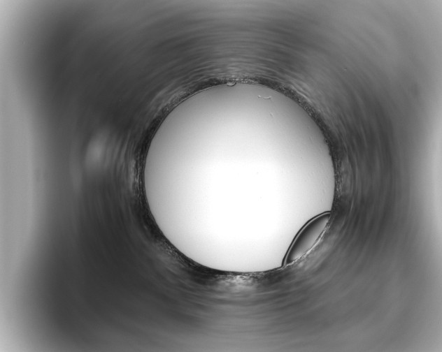 X0000093610140200710151023