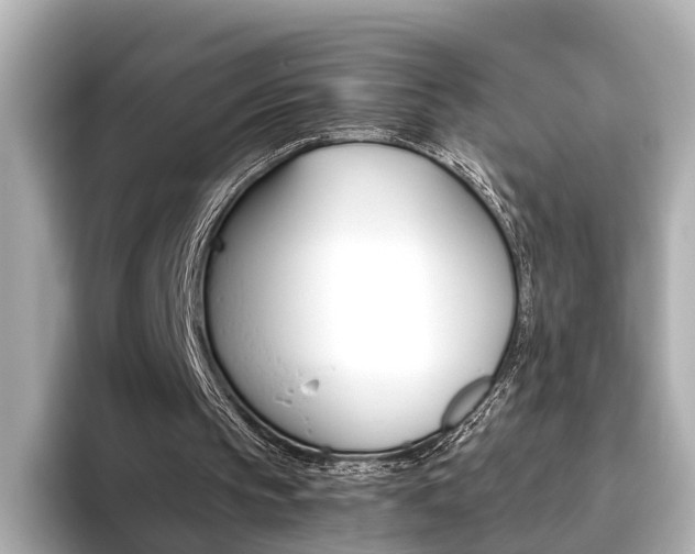 X0000093610145200710151022