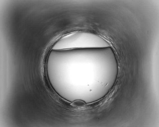 X0000093610149200710151022