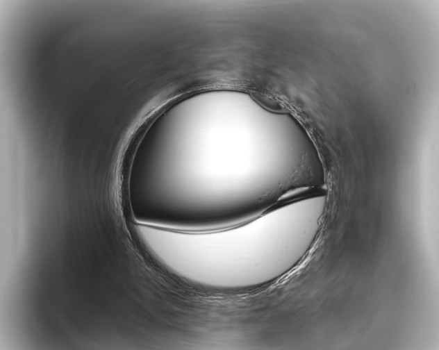 X0000093610150200710151022