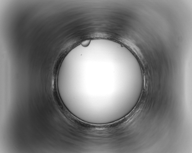 X0000093610157200710151022