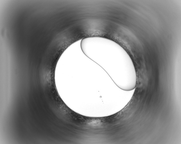 X0000093610162200710151022