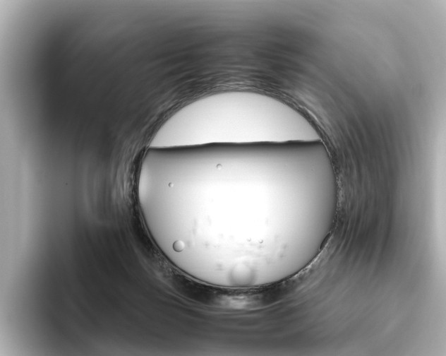 X0000093610171200710151022