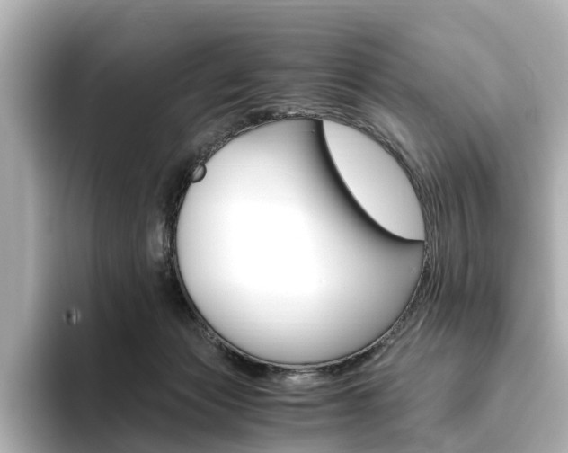 X0000093610173200710151022