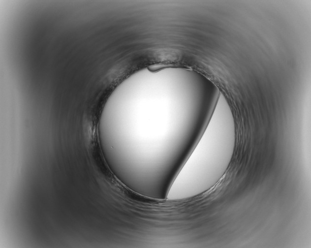 X0000093610176200710151022