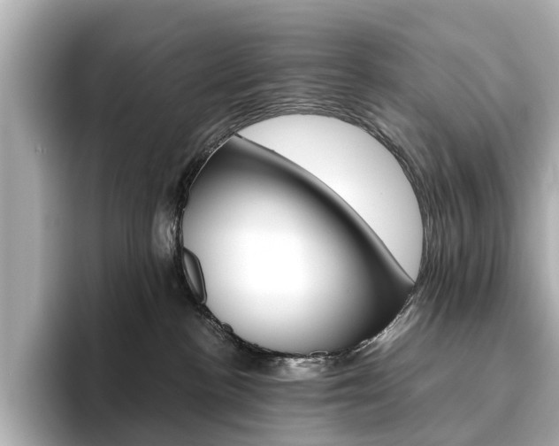 X0000093610188200710151023