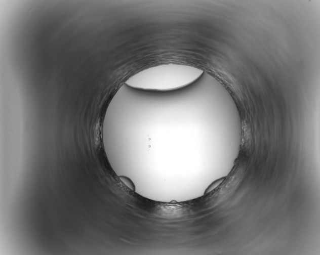 X0000093610189200710151023