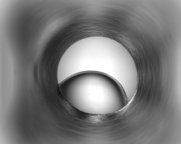 X0000093610190200710151023