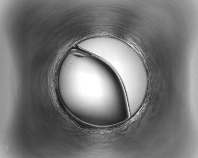 X0000093610193200710151022