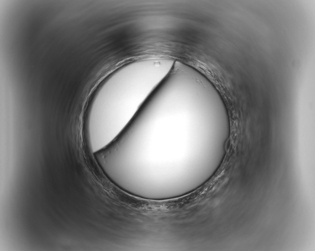 X0000093610194200710151022