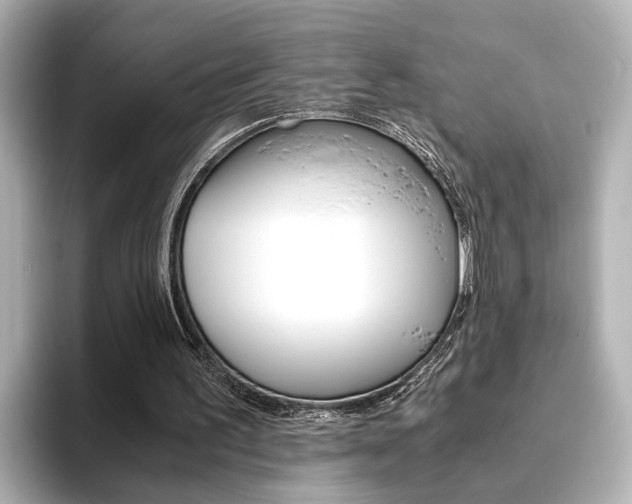 X0000093610195200710151022