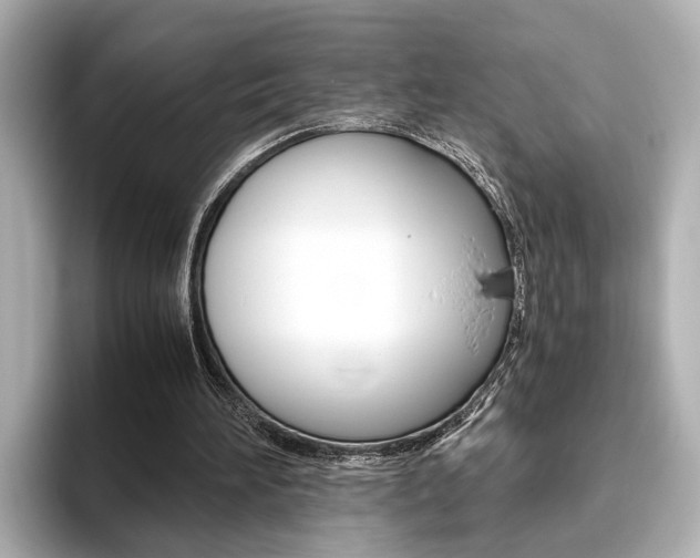 X0000093610196200710151022