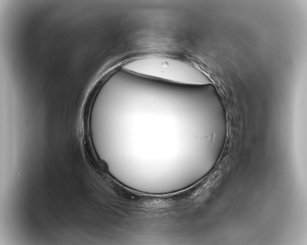 X0000093610198200710151022
