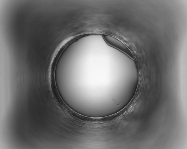 X0000093610200200710151022
