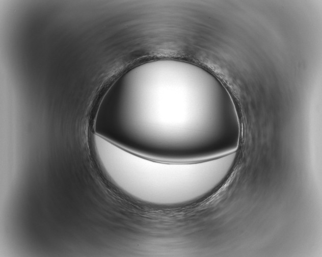 X0000093610201200710151022