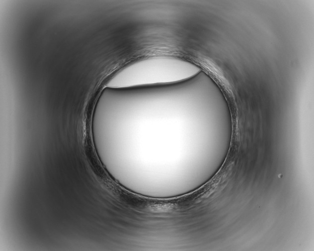 X0000093610202200710151022