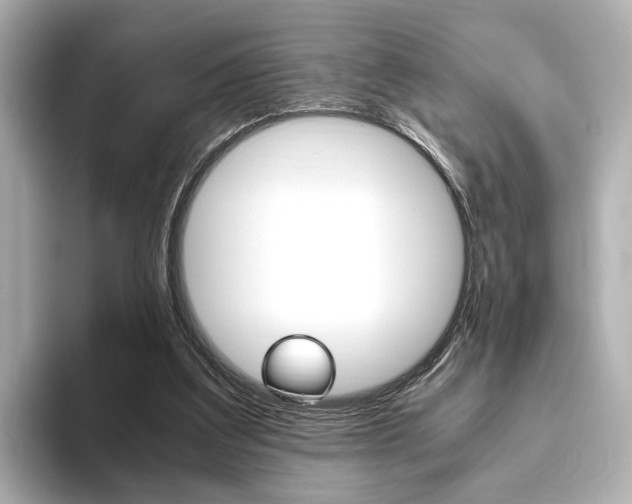 X0000093610203200710151022
