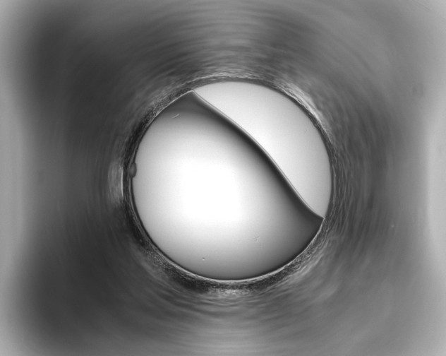 X0000093610205200710151022