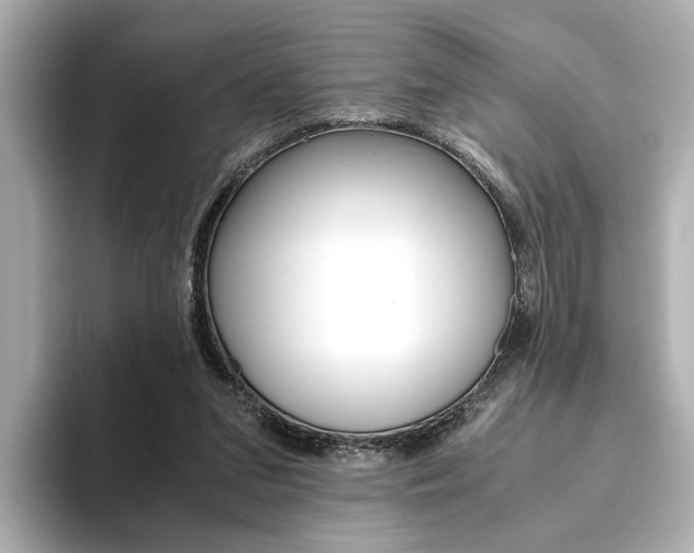 X0000093610207200710151022