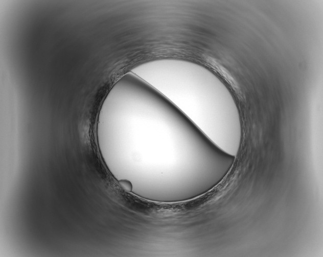 X0000093610209200710151022