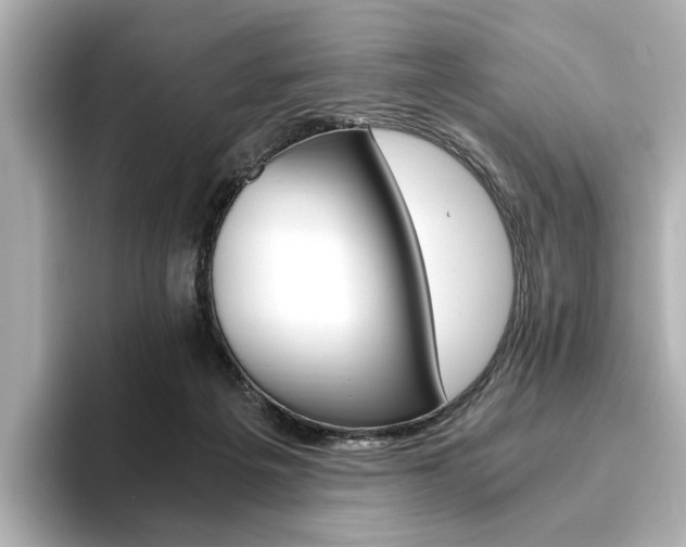 X0000093610217200710151022