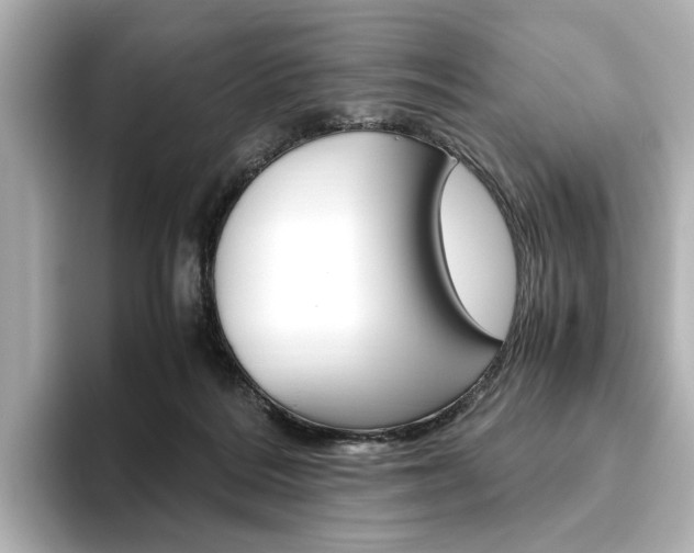 X0000093610220200710151022