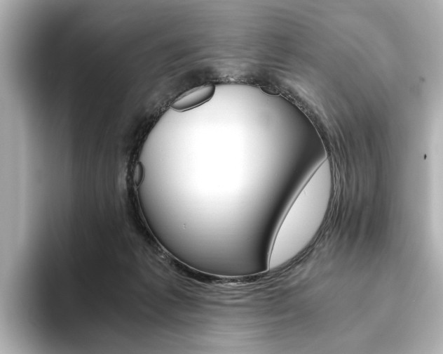 X0000093610221200710151022
