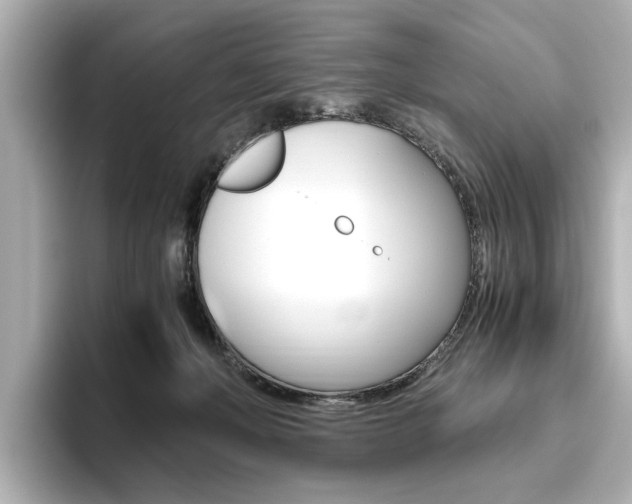 X0000093610222200710151022