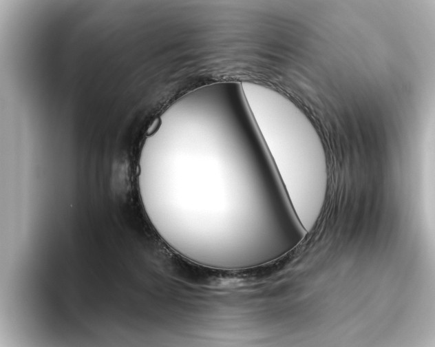 X0000093610224200710151022
