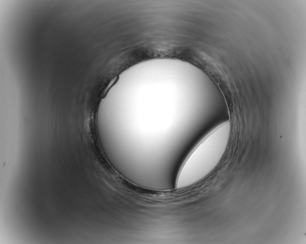 X0000093610225200710151022