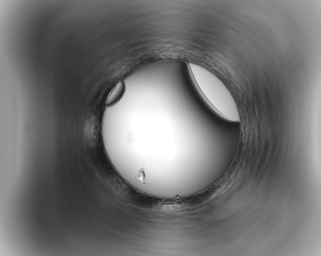 X0000093610228200710151022
