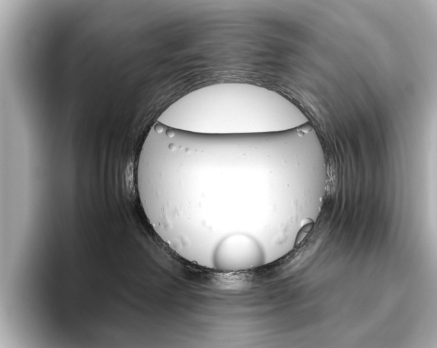 X0000093610238200710151022