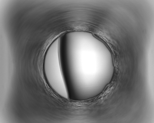 X0000093610241200710151021