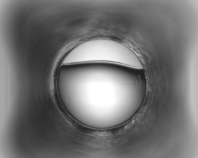 X0000093610245200710151021
