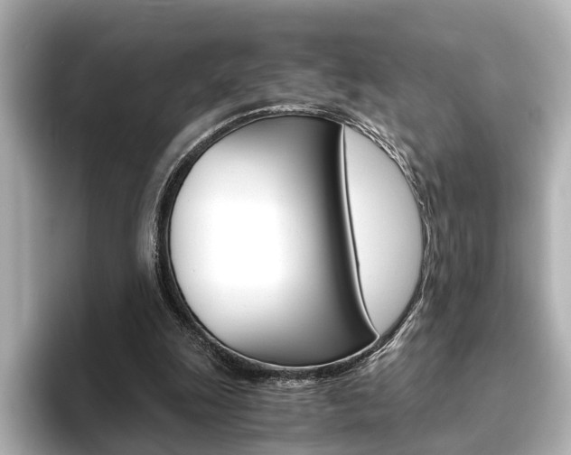 X0000093610247200710151021