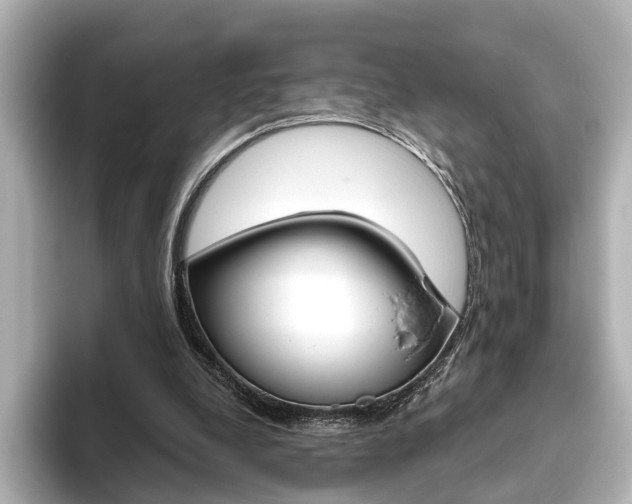 X0000093610248200710151021