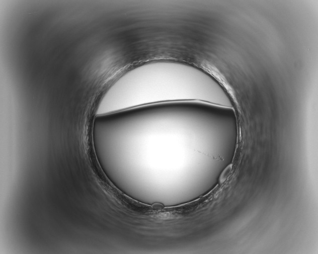 X0000093610249200710151021