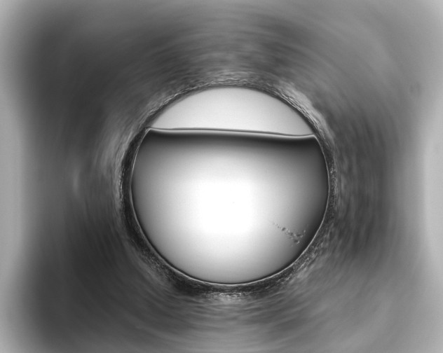 X0000093610250200710151021