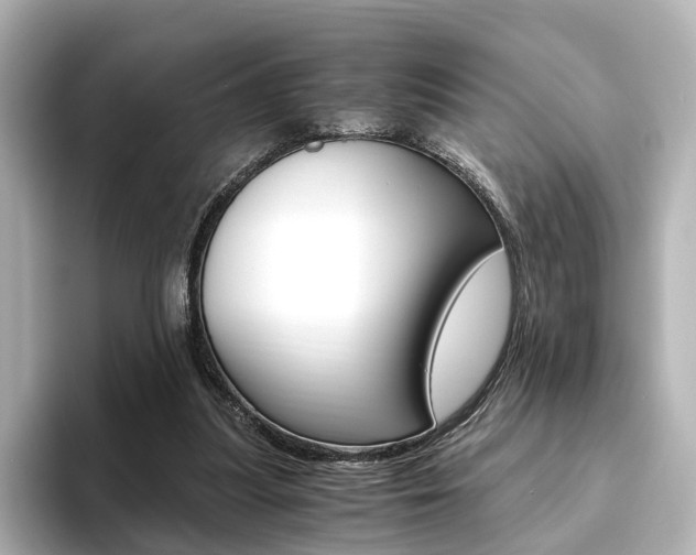X0000093610251200710151021