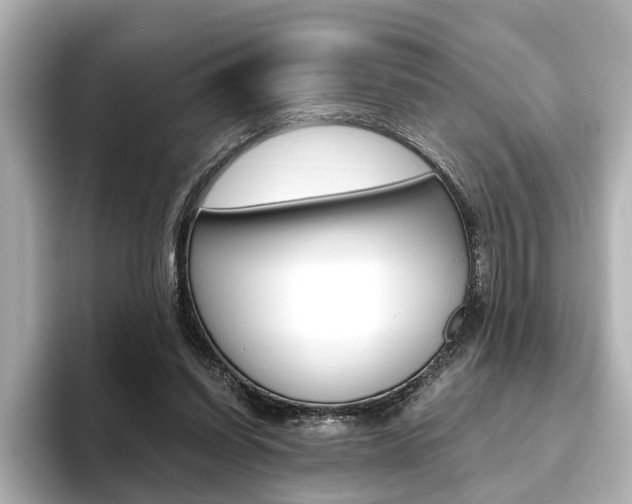 X0000093610254200710151021