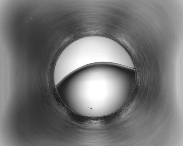 X0000093610260200710151021