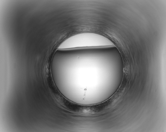 X0000093610264200710151021