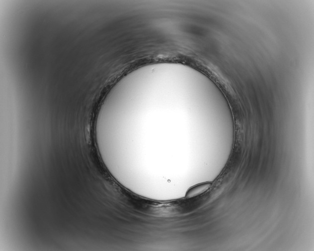 X0000093610269200710151021