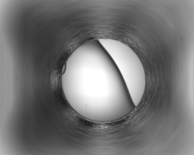 X0000093610276200710151021