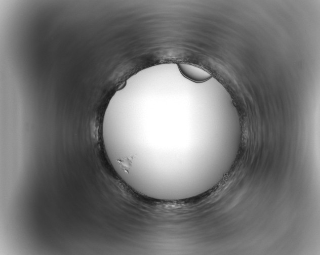 X0000093610282200710151021