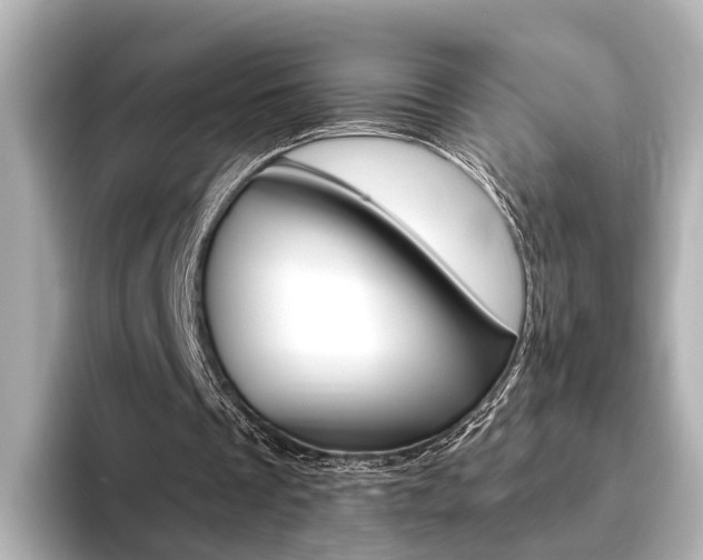 X0000093610289200710151021